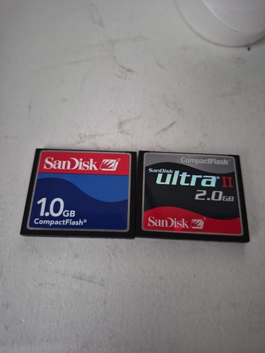 Sandisk 1gb compact flash - 1gb,